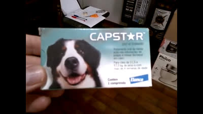 Capstar - Contra Bicheira - Elanco