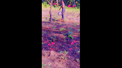 La réussite n'est plus loin