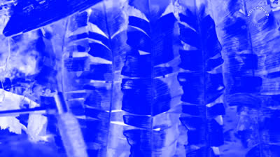 Reyes de las olas (2007) - Cody quiere que Z le enseñe a surfear in Electronic Sounds