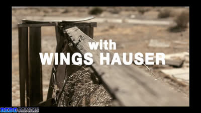 Rubber, O Pneu Assassino - 2010 Legendado Logan