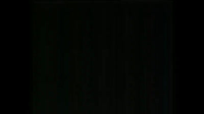 22 Talpilandia - La Statua dOro