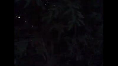 12 Action Man - L armistizio