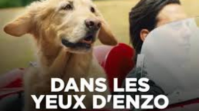 Dans les yeux d'Enzo (2019)