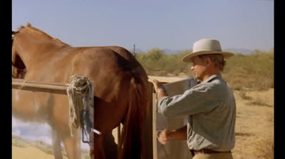 Renegado - Um Osso Duro de Roer (Dublado) com Terence Hill