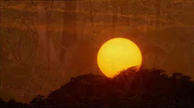 Caminando entre las Bestias - 01 - Nuevo Amanecer - BBC (2001).mp4