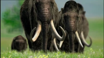 Caminando entre las Bestias - 06 - Migración De Mamuts - BBC (2001).mp4